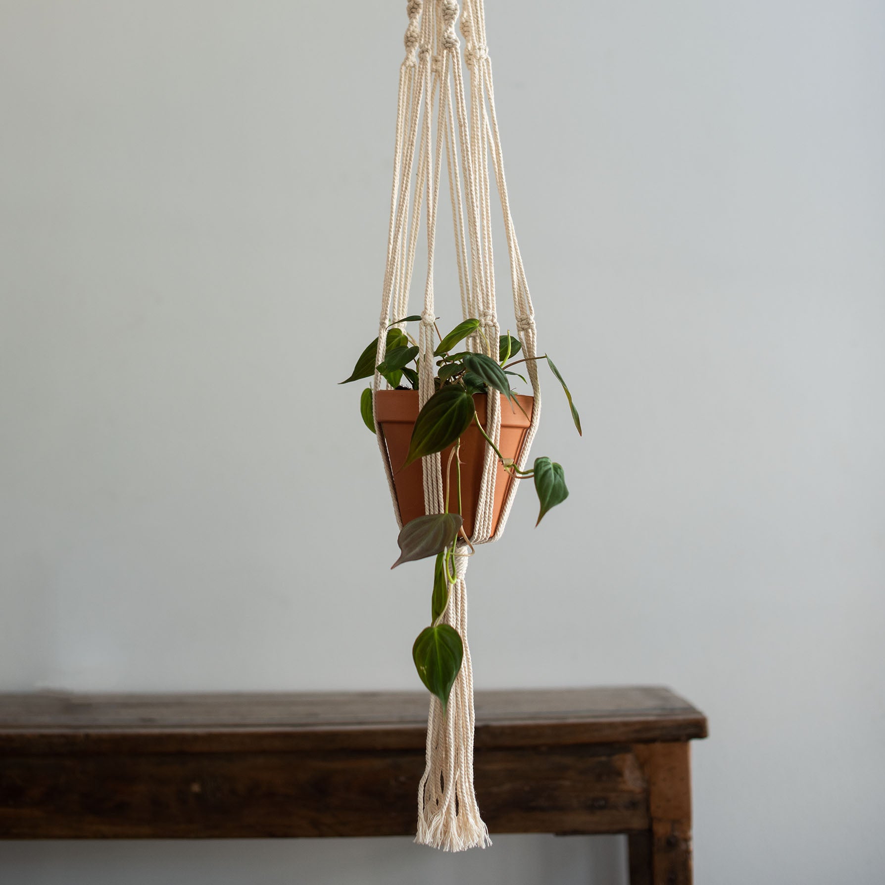 macrame_hanger_white_all_size_1806012_2.jpg