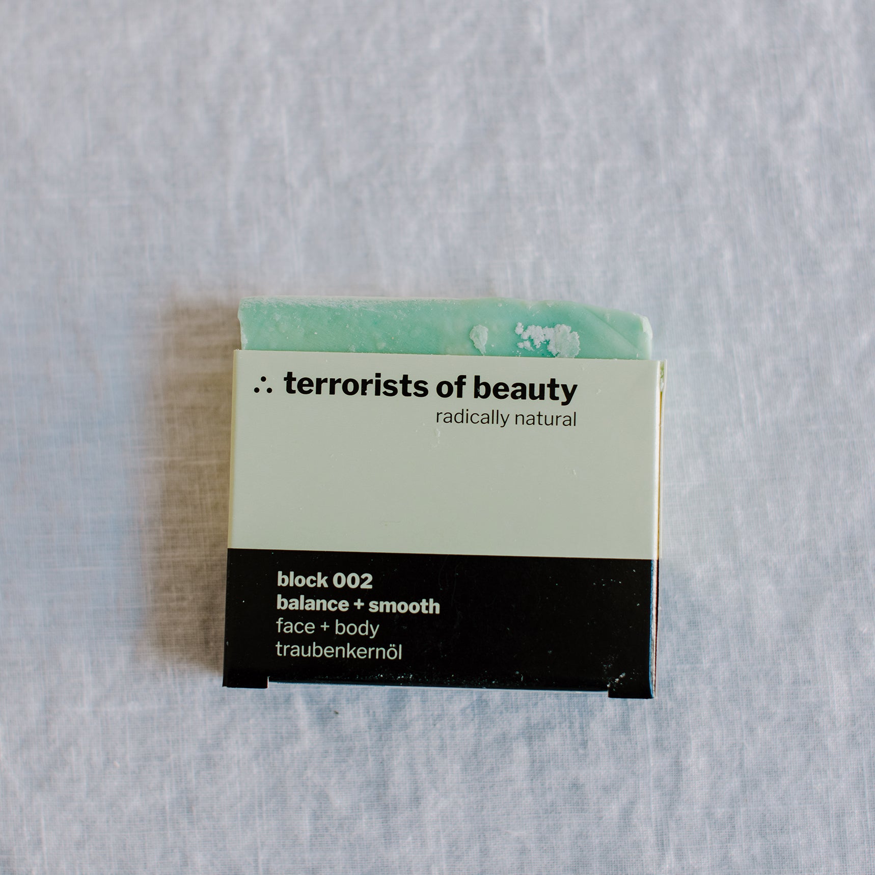 terrorists_of_beauty_seifen_11.jpg